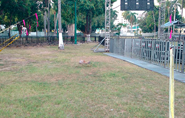 RENTA DE GRADAS PARA EVENTOS MASIVOS